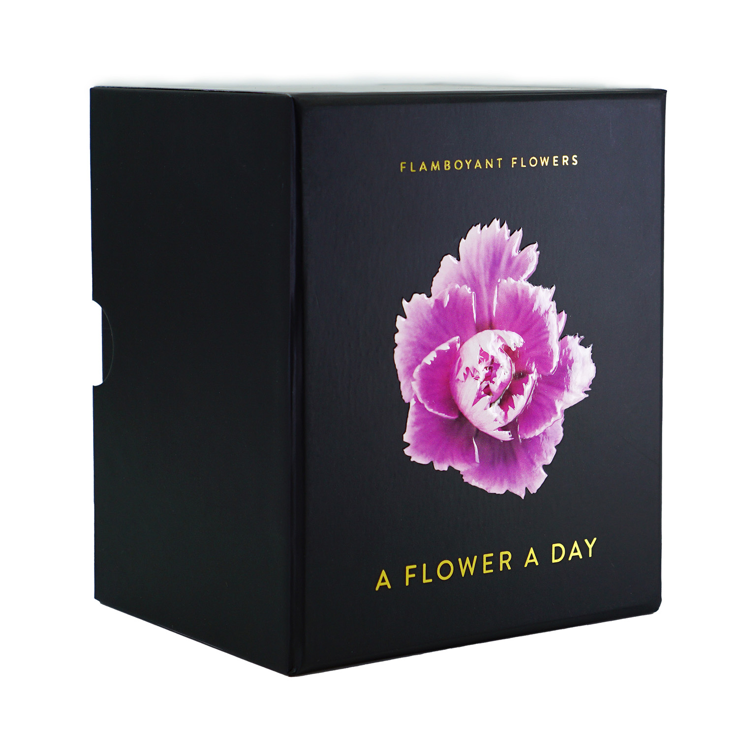Kalender 2027 | Flamboyant Flowers
