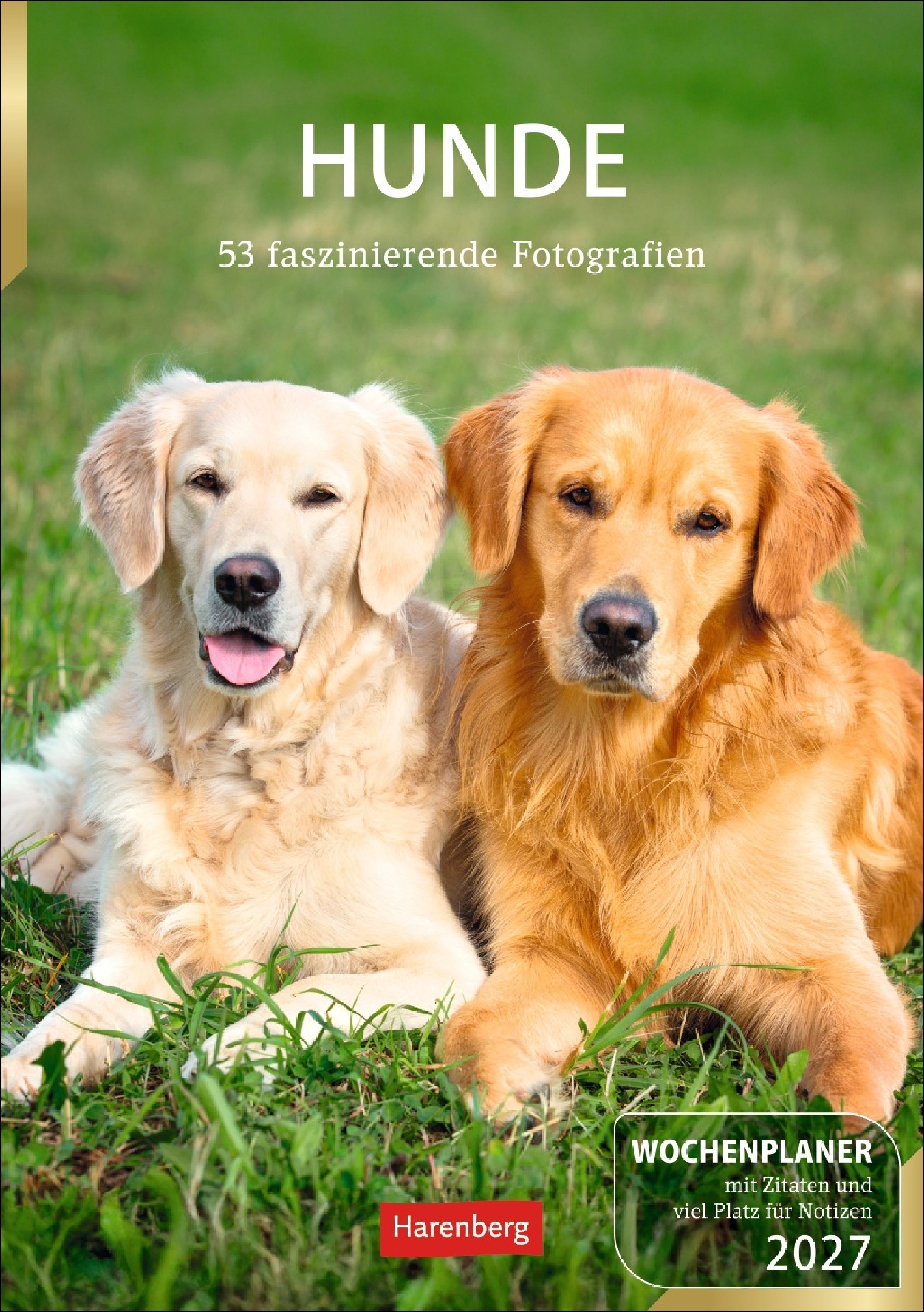 Hunde Wochenkalender 2027